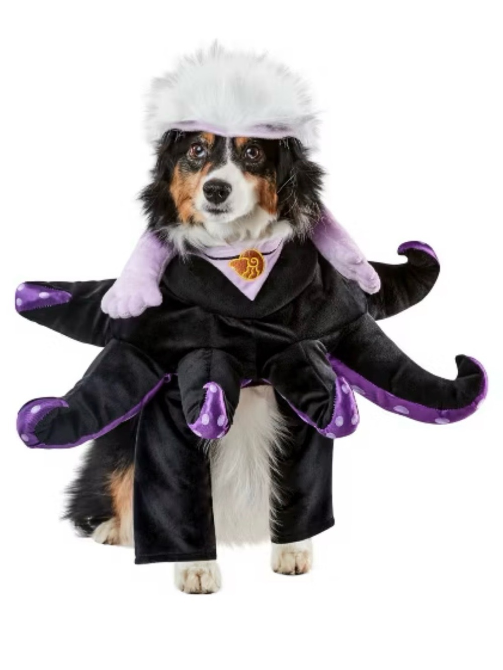 Disney Tails  Villain Ursula Fancy Dress Dog Pet Costume Size Small NEW